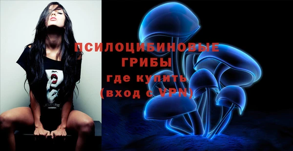 хмурый Алексин