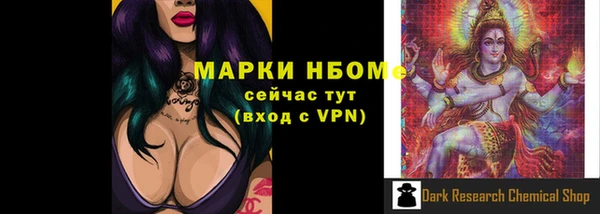 хмурый Алексин