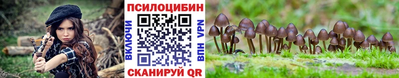 omg как войти Новодвинск Псилоцибиновые грибы MAGIC MUSHROOMS