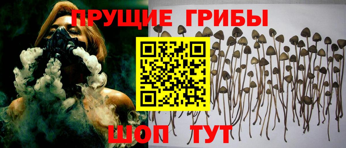 Кокаин Новодвинск