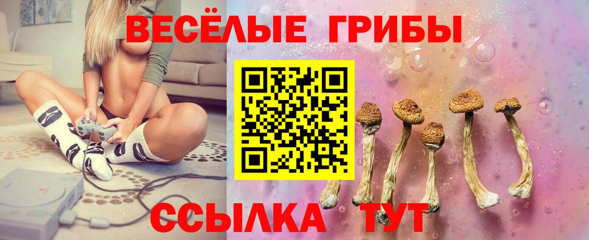 Новодвинск  Псилоцибиновые грибы Magic Shrooms  Вход с VPN 