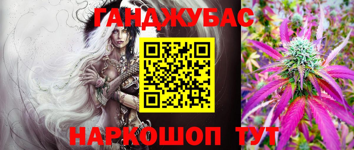 Бошки Шишки план Новодвинск